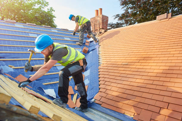 Best Asphalt Shingle Roofing  in Taylor Mill, KY